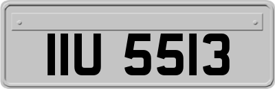 IIU5513