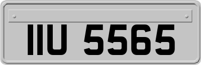 IIU5565