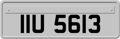 IIU5613