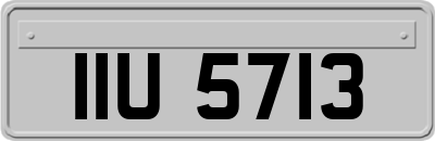 IIU5713