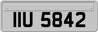 IIU5842