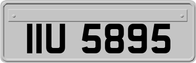 IIU5895