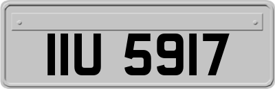 IIU5917