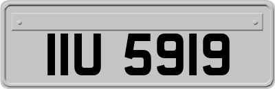 IIU5919