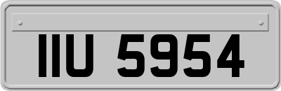 IIU5954