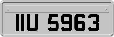IIU5963