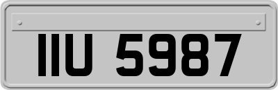 IIU5987