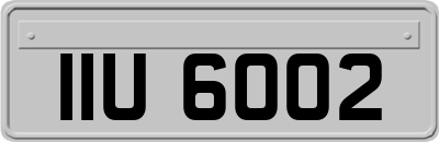 IIU6002