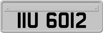 IIU6012