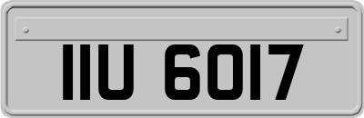 IIU6017
