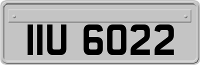 IIU6022