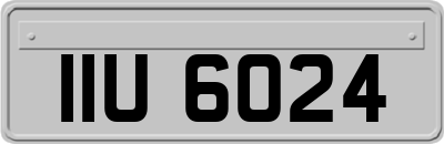 IIU6024