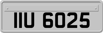 IIU6025