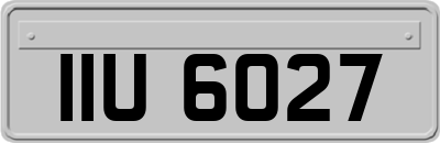 IIU6027