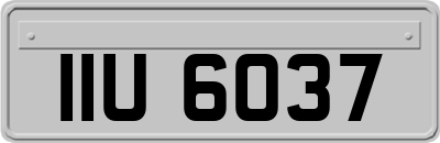 IIU6037