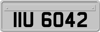 IIU6042