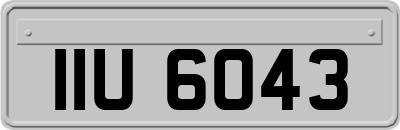 IIU6043