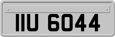 IIU6044