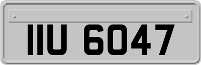 IIU6047