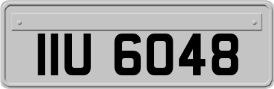 IIU6048
