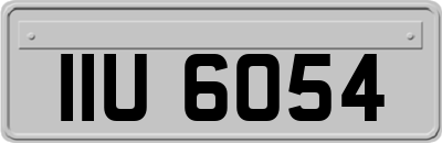 IIU6054