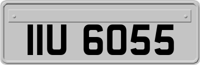 IIU6055