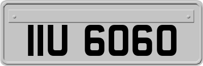 IIU6060
