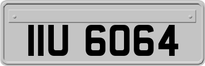 IIU6064