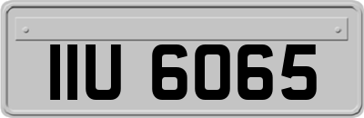 IIU6065