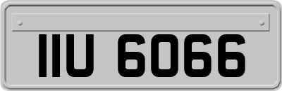 IIU6066