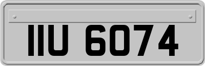 IIU6074