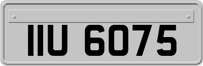 IIU6075