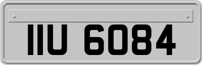 IIU6084