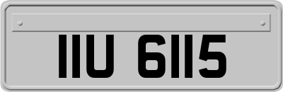 IIU6115