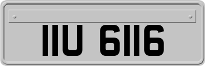 IIU6116
