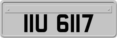 IIU6117