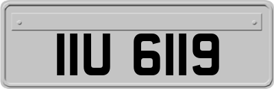 IIU6119
