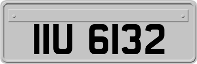 IIU6132