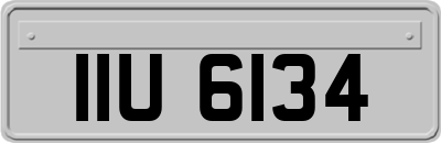 IIU6134