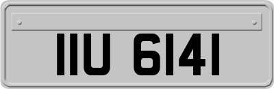 IIU6141
