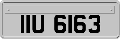 IIU6163