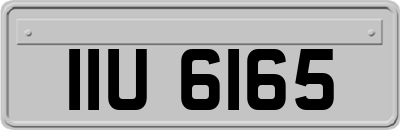 IIU6165