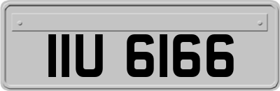 IIU6166
