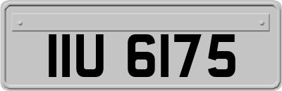 IIU6175