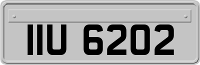 IIU6202