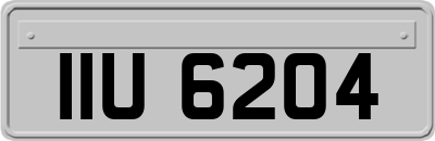 IIU6204