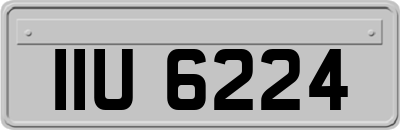 IIU6224