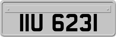 IIU6231