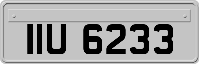IIU6233