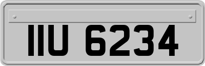 IIU6234